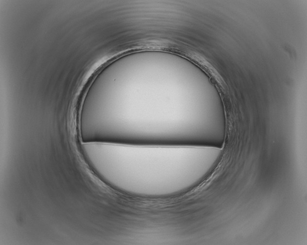 X0000112811083200908210933