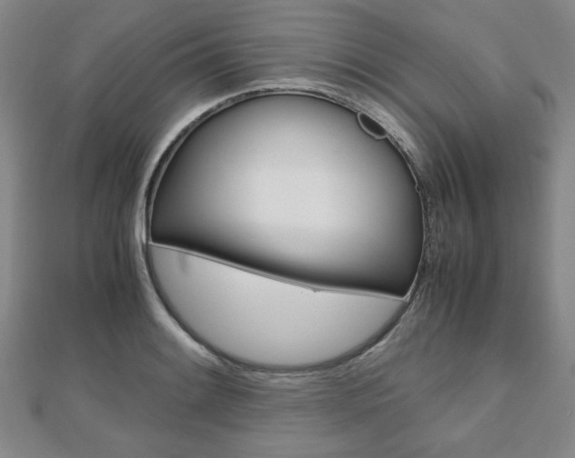X0000112811084200908210933
