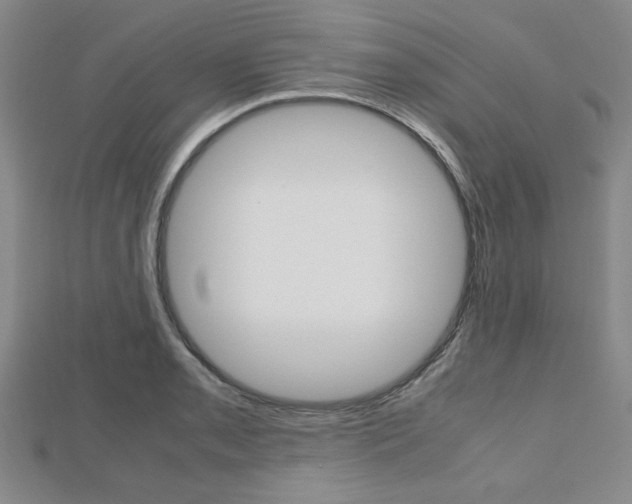 X0000112811085200908210933