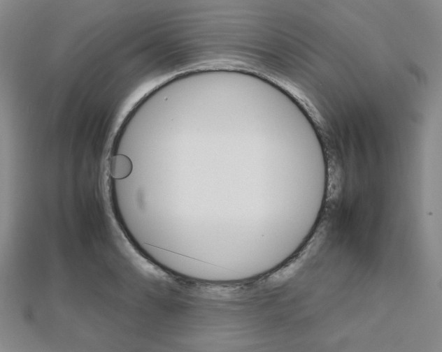 X0000112811086200908210933