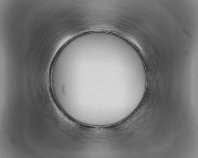 X0000112811087200908210933
