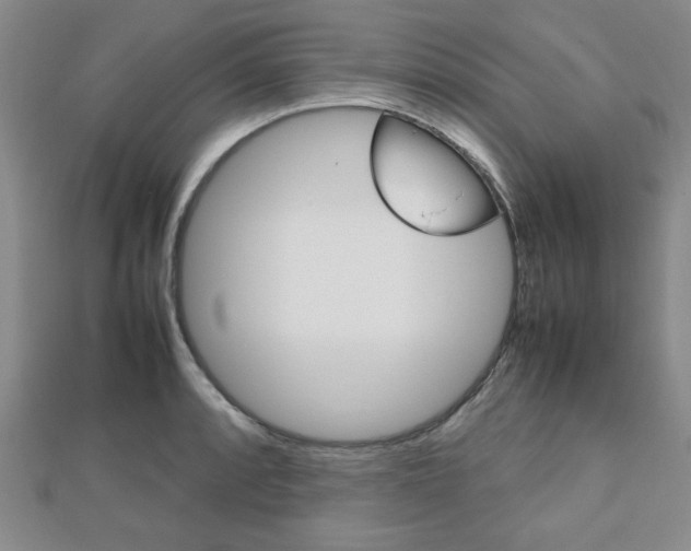 X0000112811088200908210933