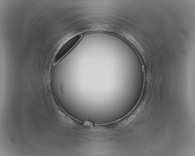 X0000112811089200908210933