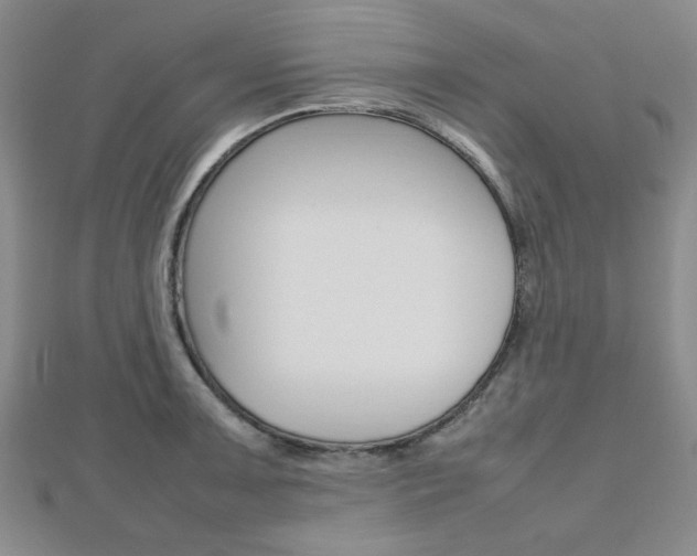 X0000112811091200908210933