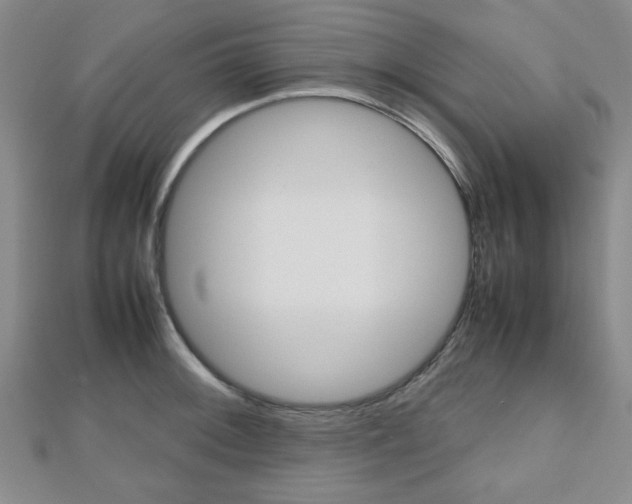 X0000112811092200908210933