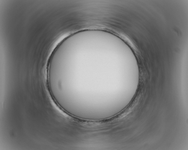 X0000112811095200908210933