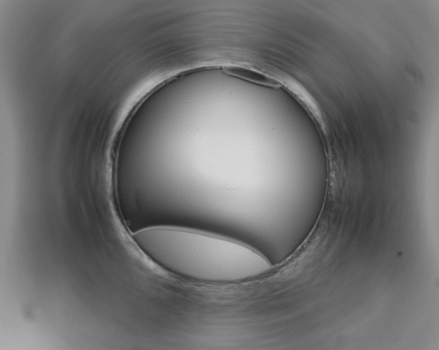 X0000112811096200908210933