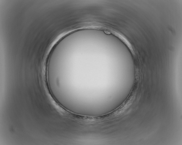 X0000112811099200908210933