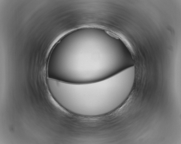 X0000112811100200908210932