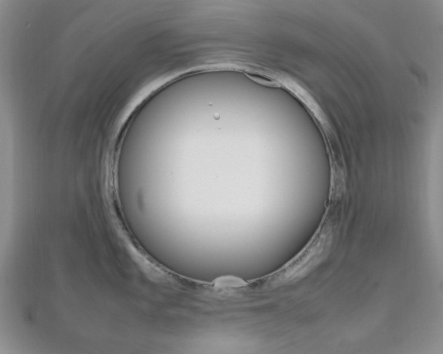 X0000112811101200908210932