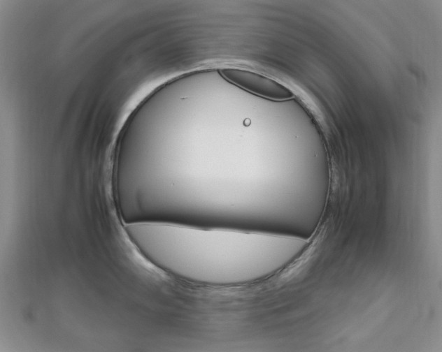 X0000112811102200908210932