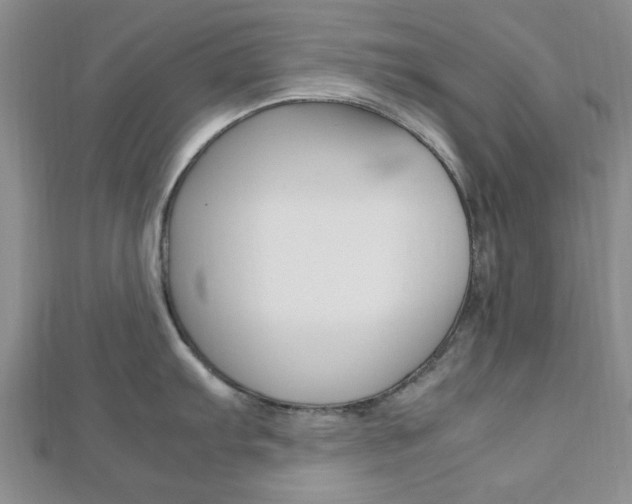 X0000112811103200908210932