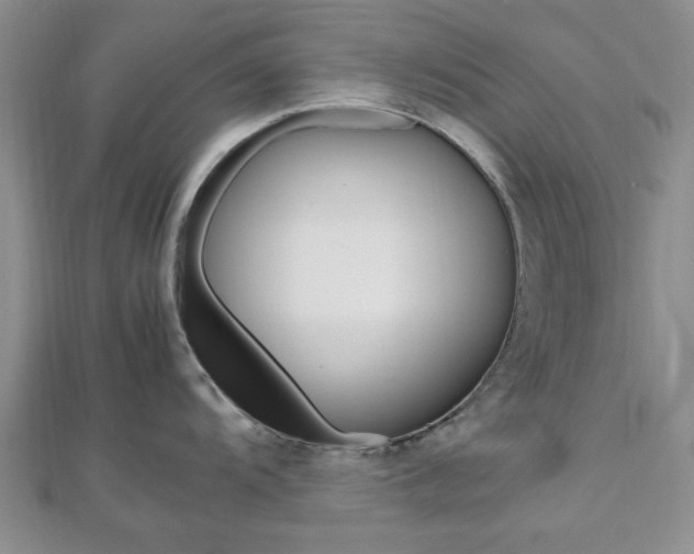 X0000112811104200908210932