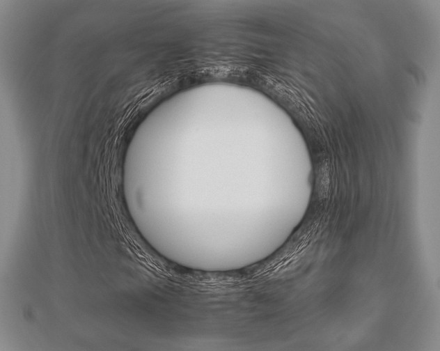 X0000112811105200908210932