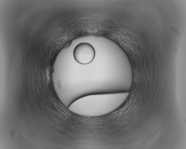 X0000112811106200908210932