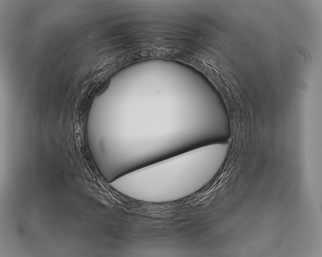X0000112811109200908210932