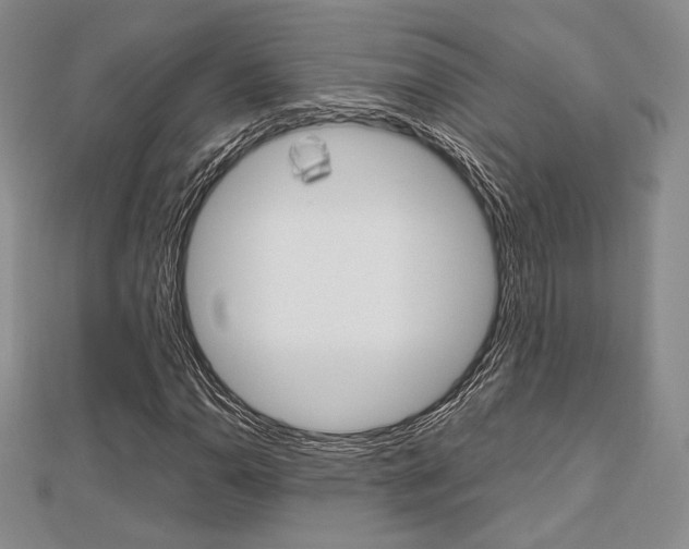 X0000112811110200908210932
