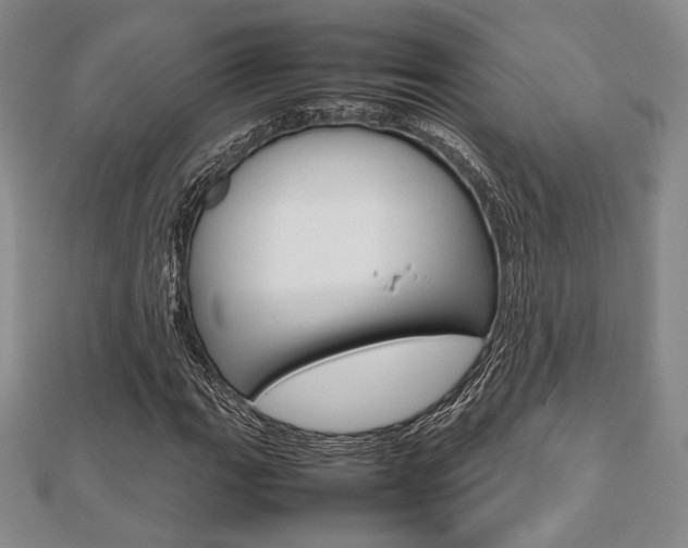 X0000112811111200908210932