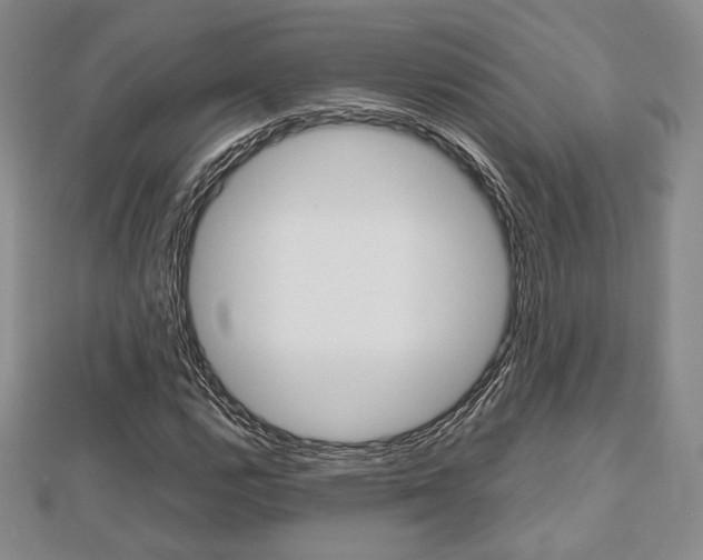 X0000112811112200908210932