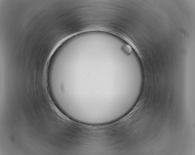 X0000112811116200908210932
