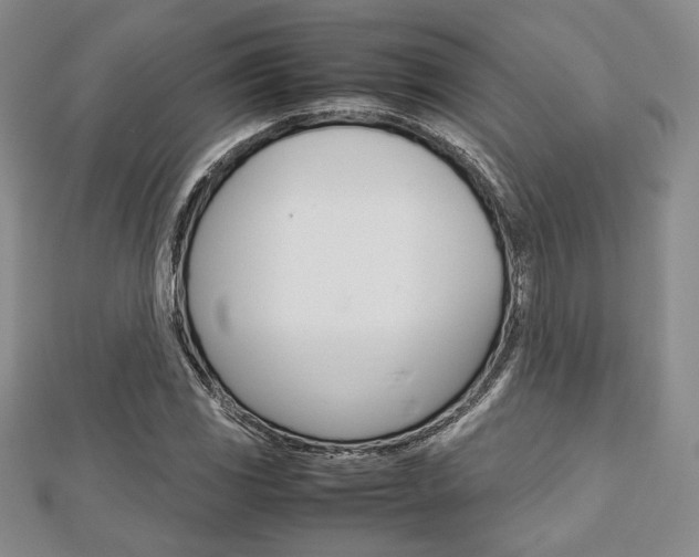 X0000112811117200908210932