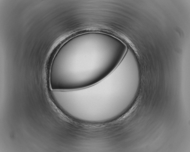 X0000112811122200908210932