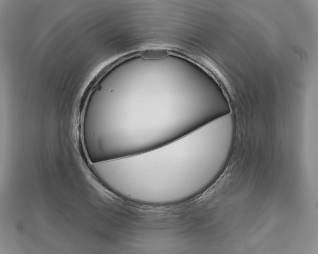 X0000112811124200908210932