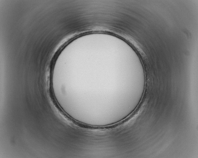 X0000112811126200908210932