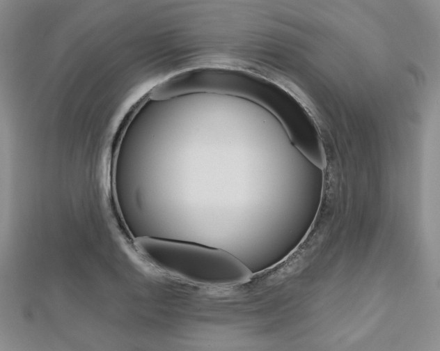 X0000112811128200908210932