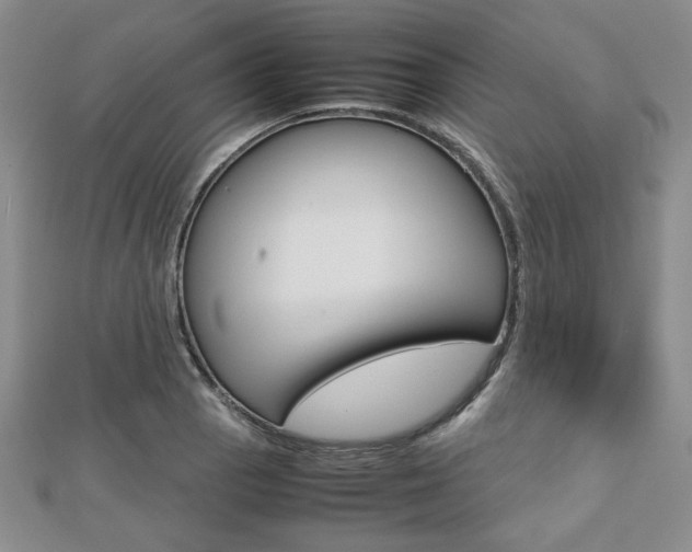X0000112811129200908210932