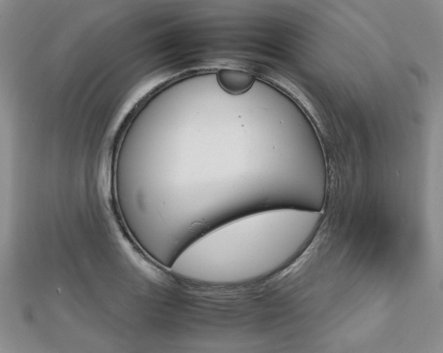 X0000112811131200908210932