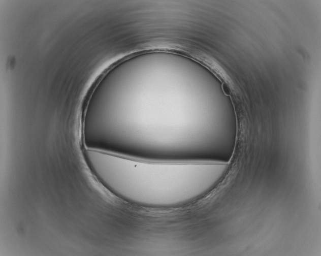 X0000112811132200908210932
