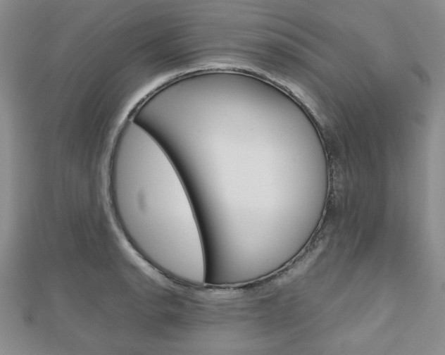 X0000112811134200908210932