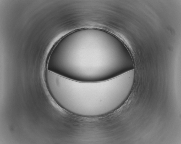 X0000112811136200908210932