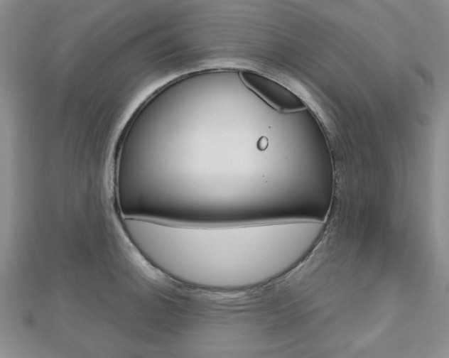 X0000112811140200908210932