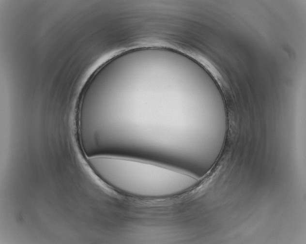 X0000112811142200908210932