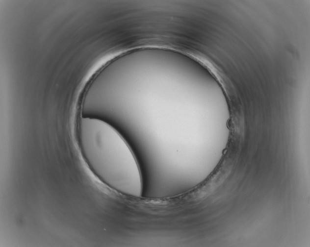 X0000112811147200908210932