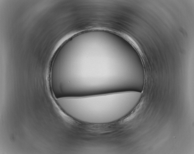 X0000112811149200908210932