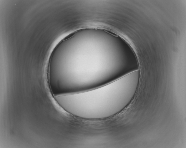 X0000112811152200908210932