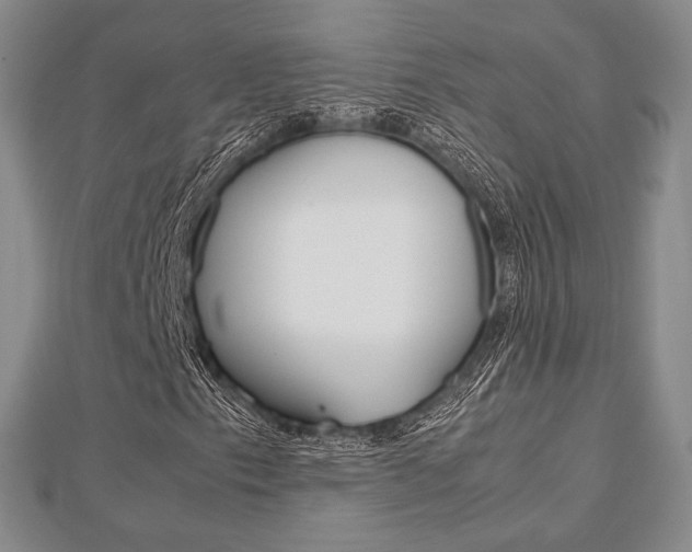 X0000112811153200908210932