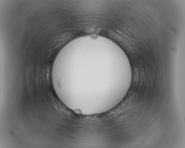 X0000112811154200908210932