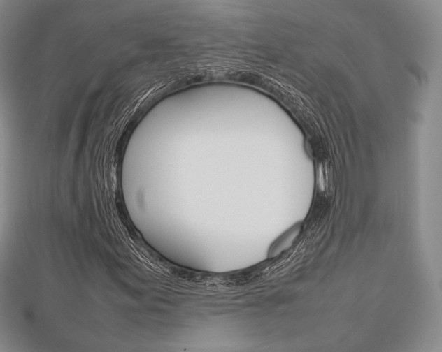 X0000112811155200908210932