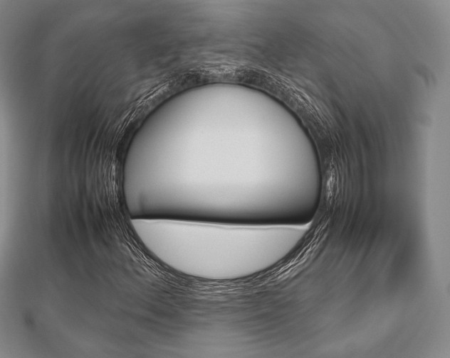 X0000112811156200908210932