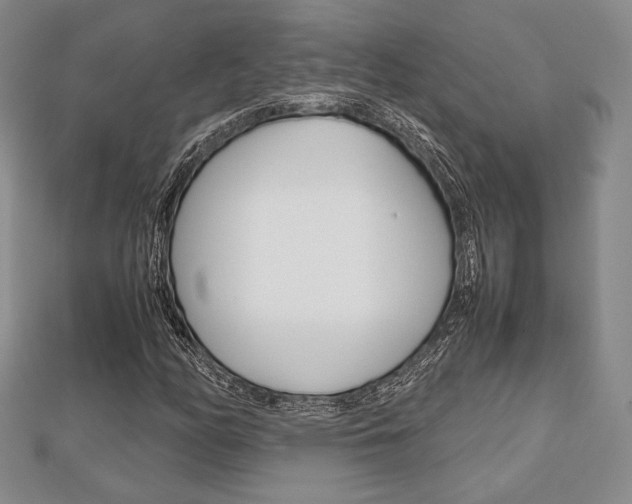 X0000112811158200908210932