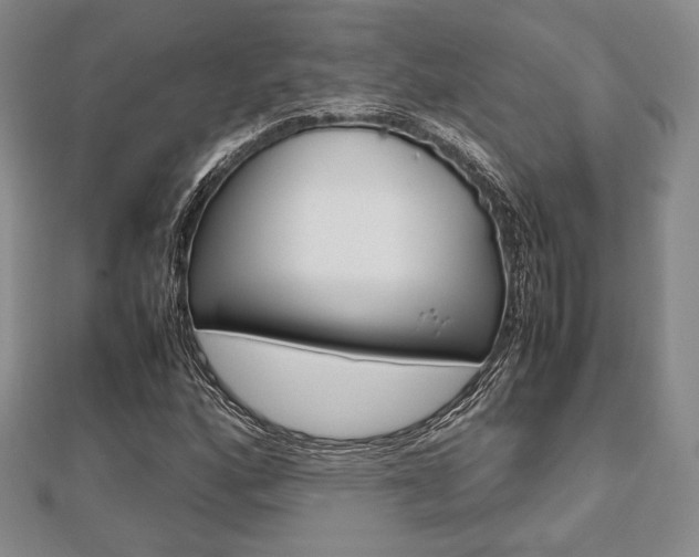 X0000112811160200908210932