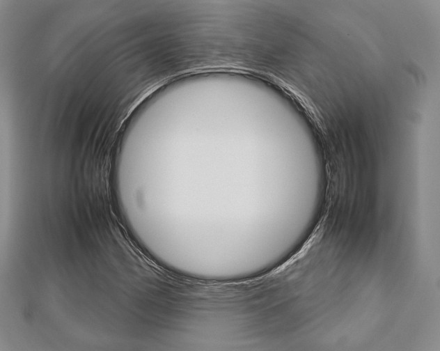 X0000112811162200908210932