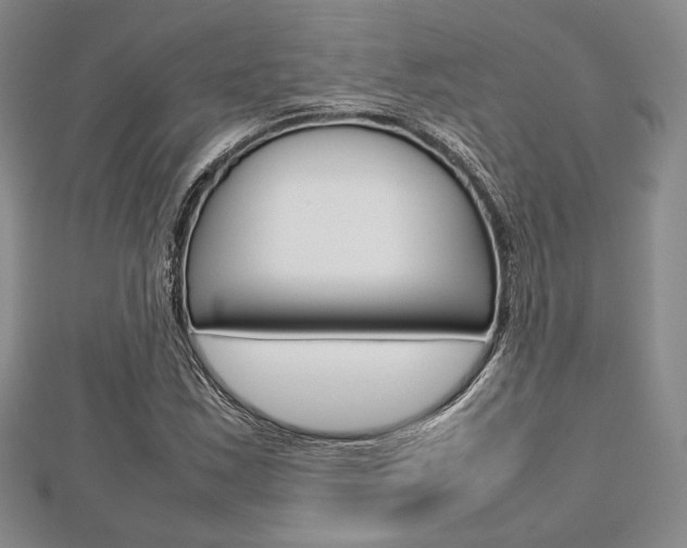X0000112811163200908210932