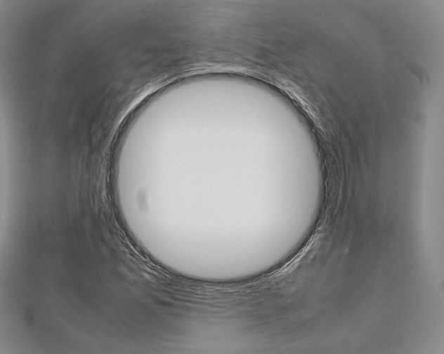 X0000112811165200908210932