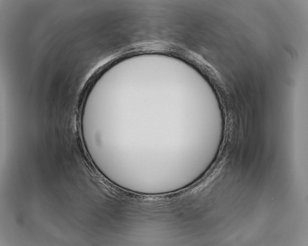 X0000112811166200908210932