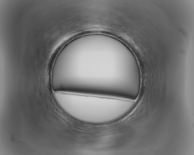 X0000112811167200908210932